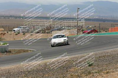 media/May-03-2025-Lucky Dog Racing (Sat) [[206de64b9d]]/Turn 4 B (1150am-130pm)/